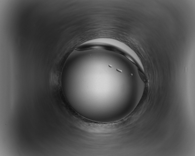 X0000088450044200705291520