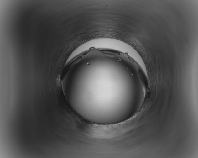X0000088450045200705291520