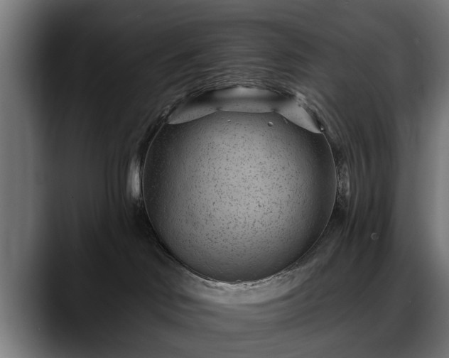 X0000088450046200705291520