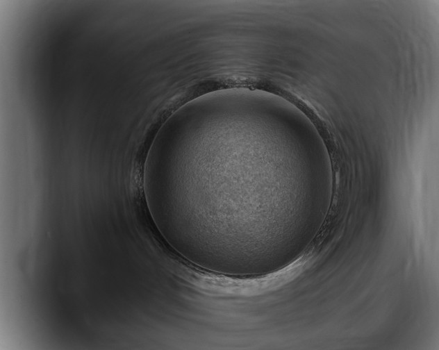 X0000088450048200705291520