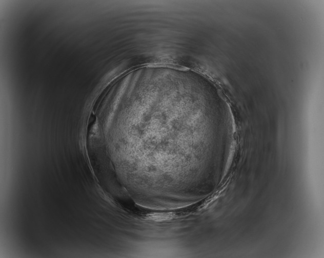 X0000088450051200705291520