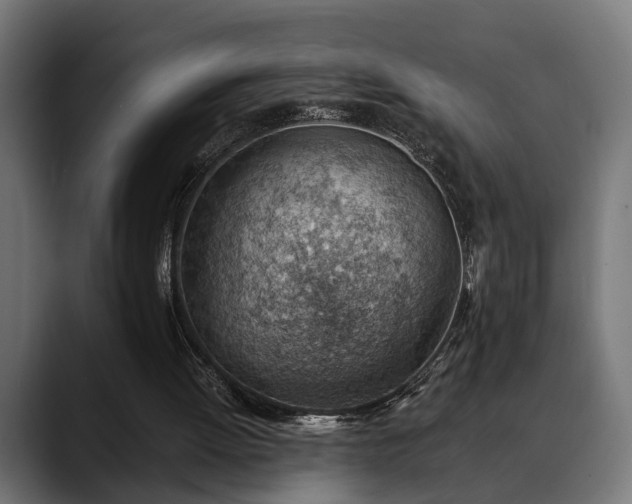 X0000088450052200705291520