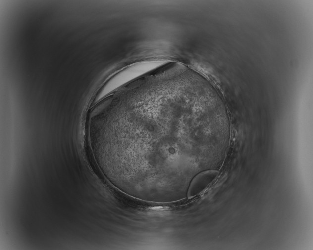 X0000088450053200705291520