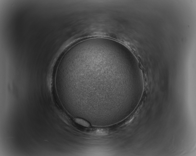 X0000088450056200705291520