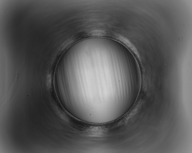 X0000088450057200705291520