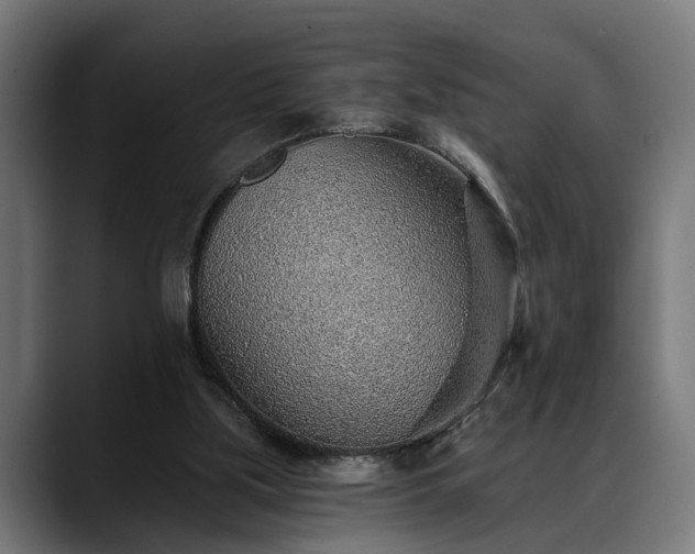 X0000088450059200705291520