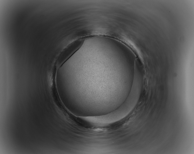 X0000088450060200705291520
