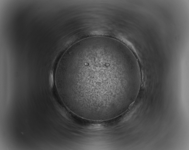 X0000088450061200705291520