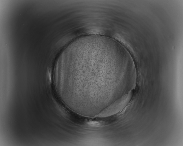 X0000088450062200705291520