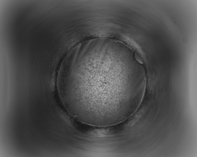 X0000088450065200705291520
