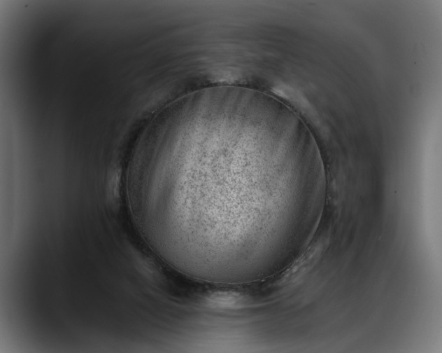 X0000088450066200705291520