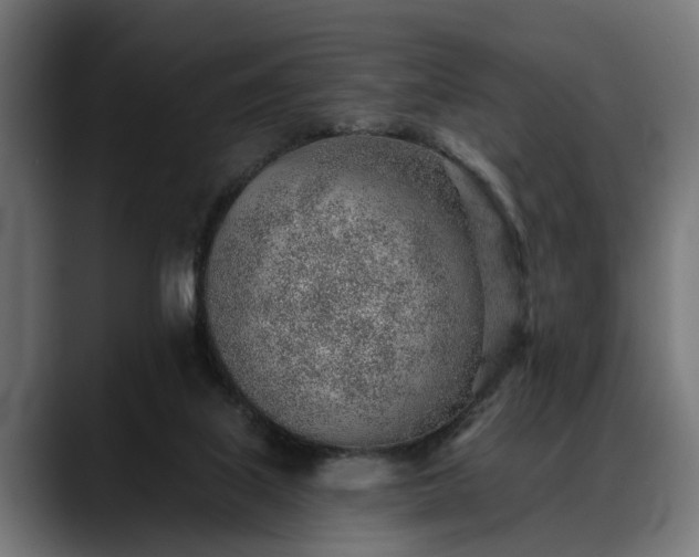 X0000088450067200705291520