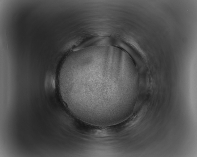 X0000088450068200705291520