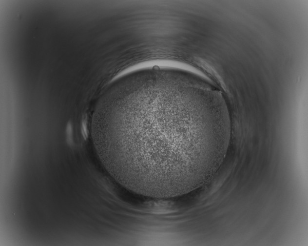 X0000088450069200705291520