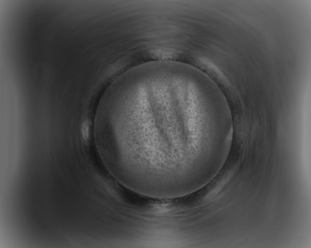X0000088450071200705291520