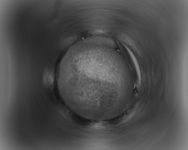 X0000088450072200705291520