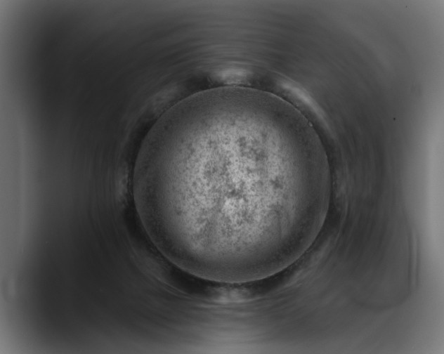 X0000088450073200705291520