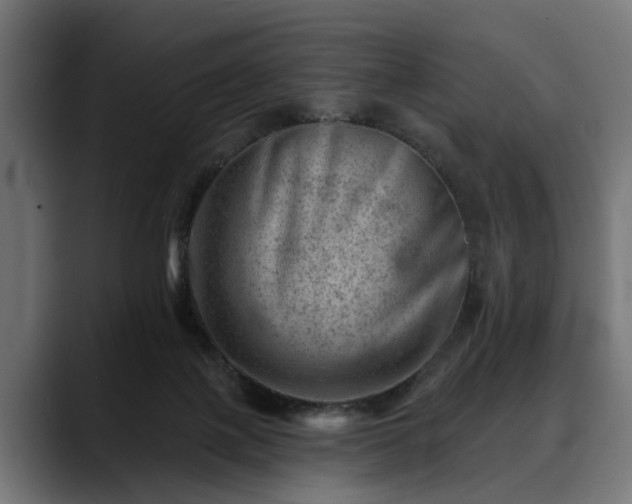 X0000088450075200705291520