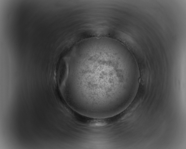 X0000088450077200705291520