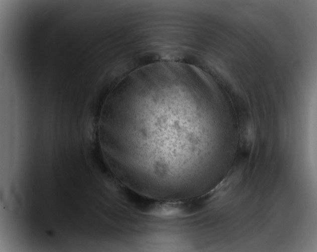 X0000088450078200705291520