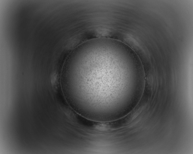X0000088450079200705291520