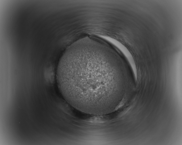 X0000088450080200705291520