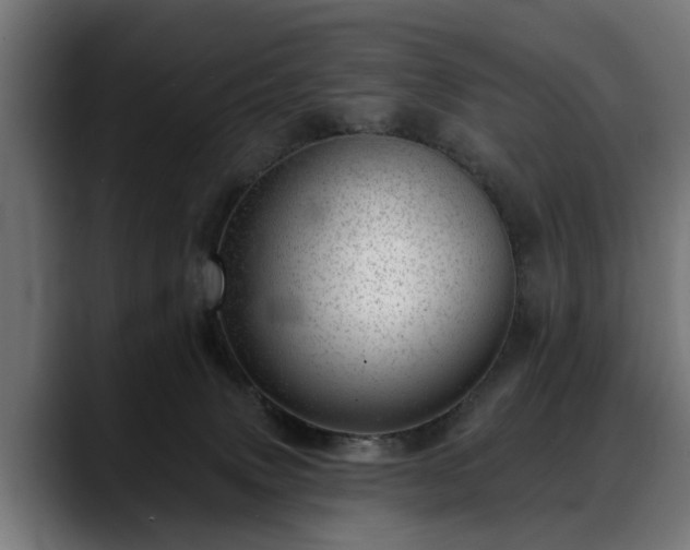 X0000088450083200705291520