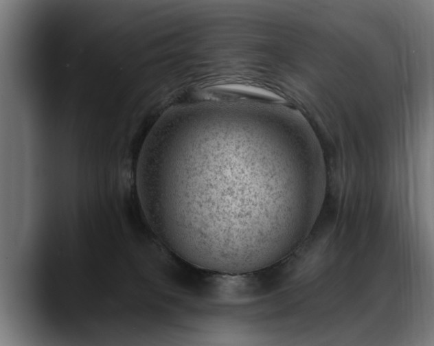 X0000088450085200705291520