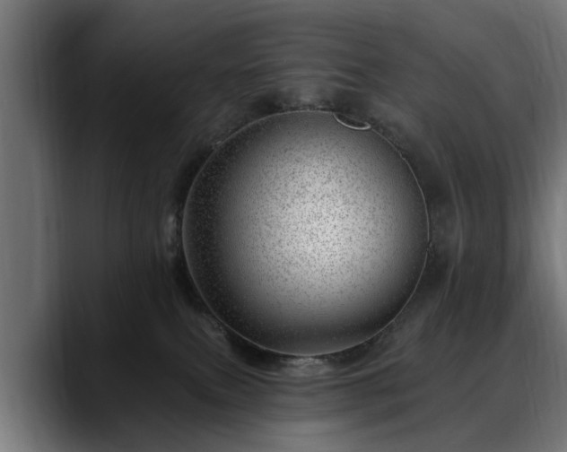 X0000088450087200705291520