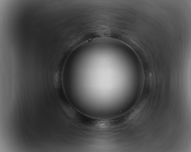 X0000088450088200705291520