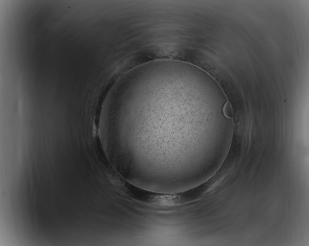 X0000088450089200705291520