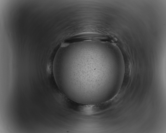 X0000088450090200705291520