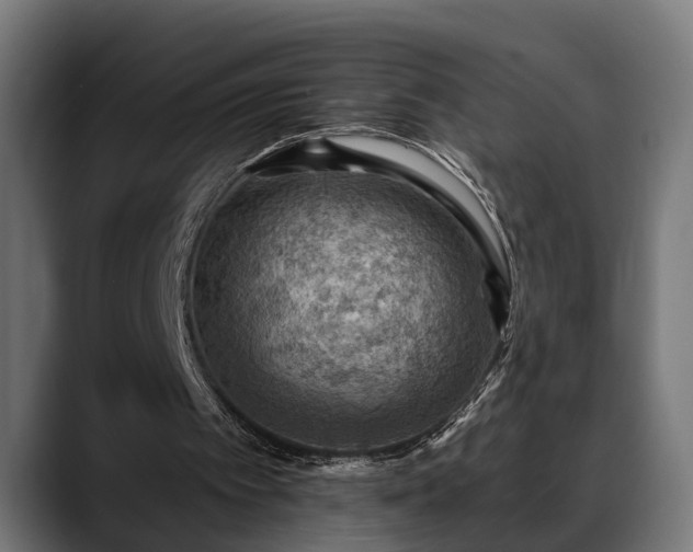 X0000088450097200705291520