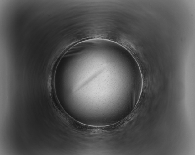 X0000088450098200705291520