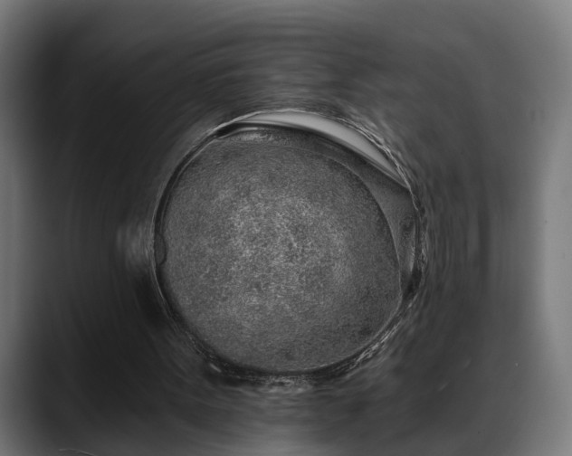 X0000088450099200705291520
