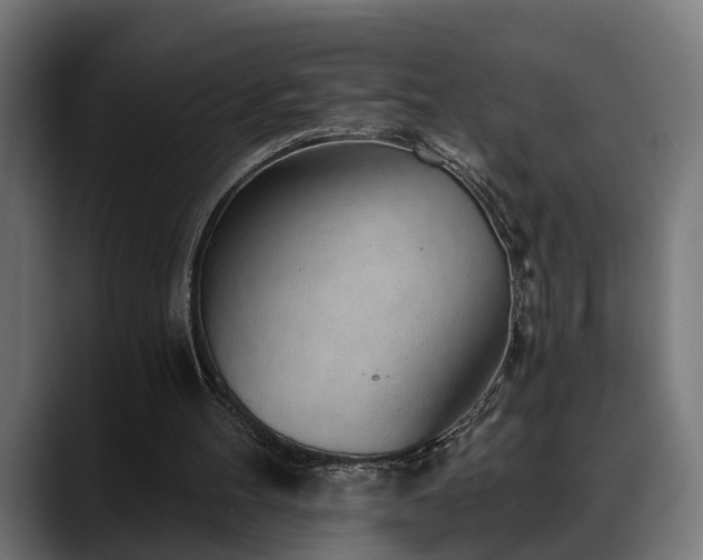 X0000088450100200705291520