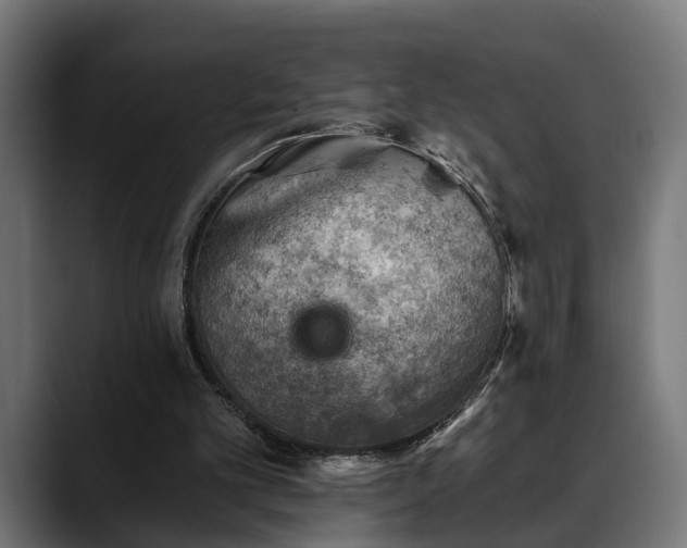 X0000088450101200705291520