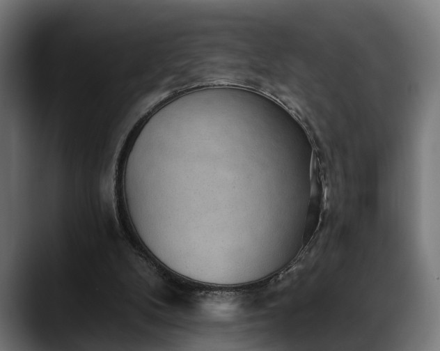 X0000088450104200705291520