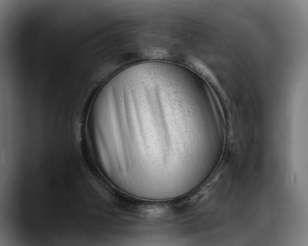 X0000088450106200705291520