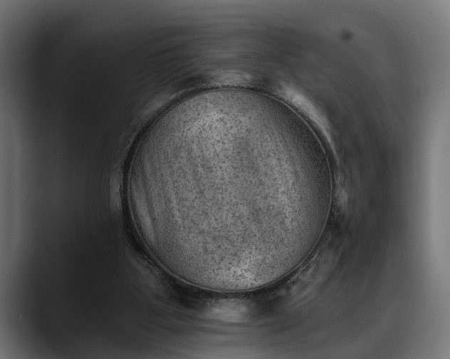 X0000088450107200705291519