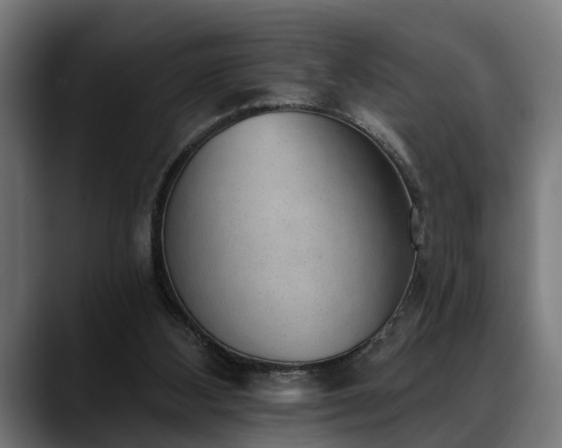 X0000088450108200705291519