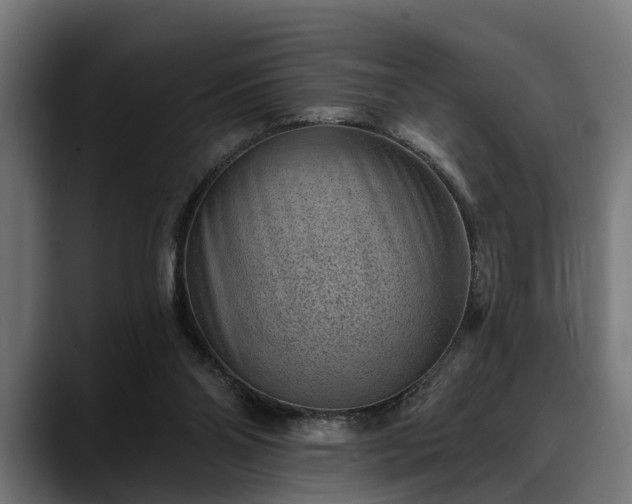 X0000088450110200705291519