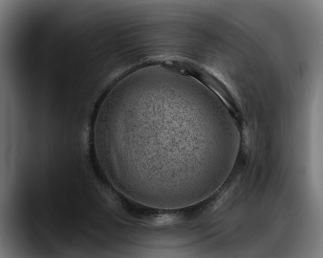 X0000088450111200705291519