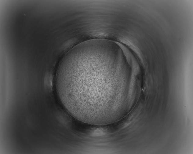 X0000088450115200705291519
