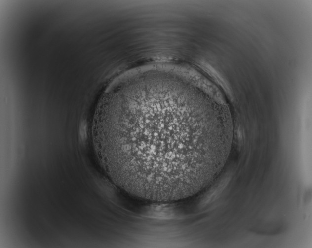 X0000088450117200705291519