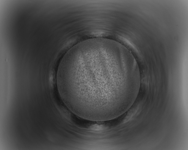 X0000088450119200705291519