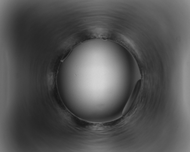 X0000088450121200705291519