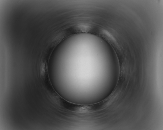 X0000088450122200705291519