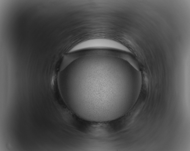 X0000088450125200705291519