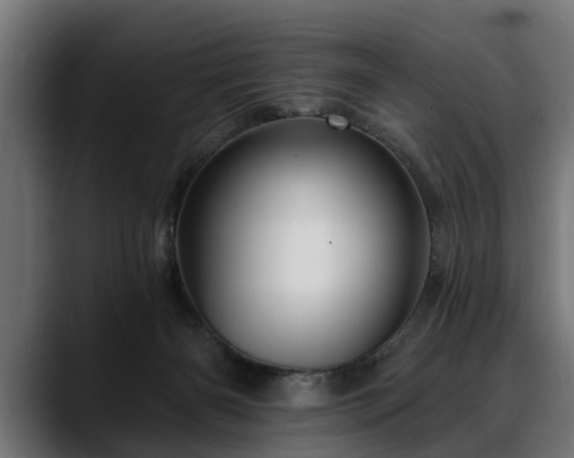X0000088450126200705291519